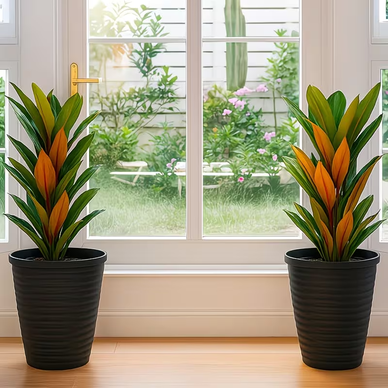 Solum Vitae 12-in 28# Fon Round Textured Modern Planters Cordyline Fruticosa Full Set Display for Entryway Welcome,Premium Modern Planters for Gardening