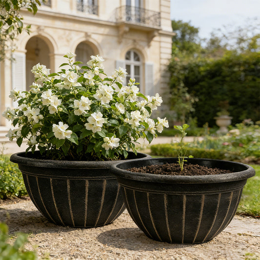 Solum Vitae 12-in 30# Fon Round Textured Pots for Plants New Growth for Courtyard,Premium Plant Pots for Gardening