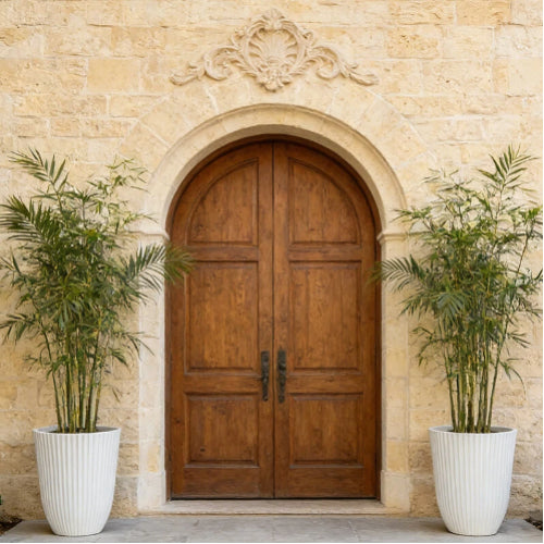 Solum Vitae 14-in 29# Fon Round White Textured Tall Planters Madagascar Palm Full Set Display for Entryway Welcom,Premium Tall Planters for Gardening