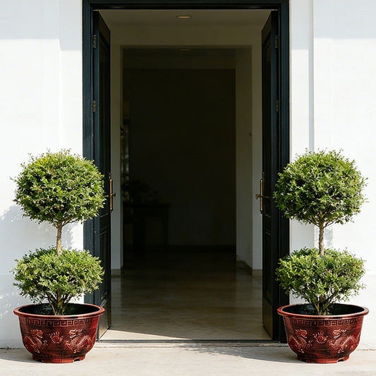 Solum Vitae 17-in 45# Terra-D Round Textured Patio Planters Murraya paniculata Full Set Display for Entryway Welcome,Premium Outdoor Planters for Gardening