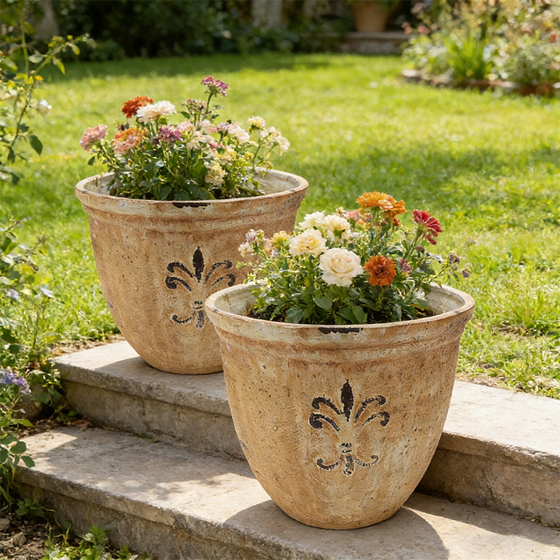 Plant Pots