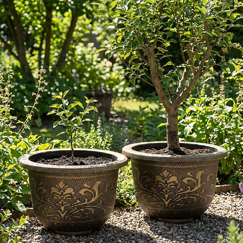 Fon Solum Vitae 20-in 50# Terra-F Round Textured Outdoor Planters Growth Shots for Courtyard