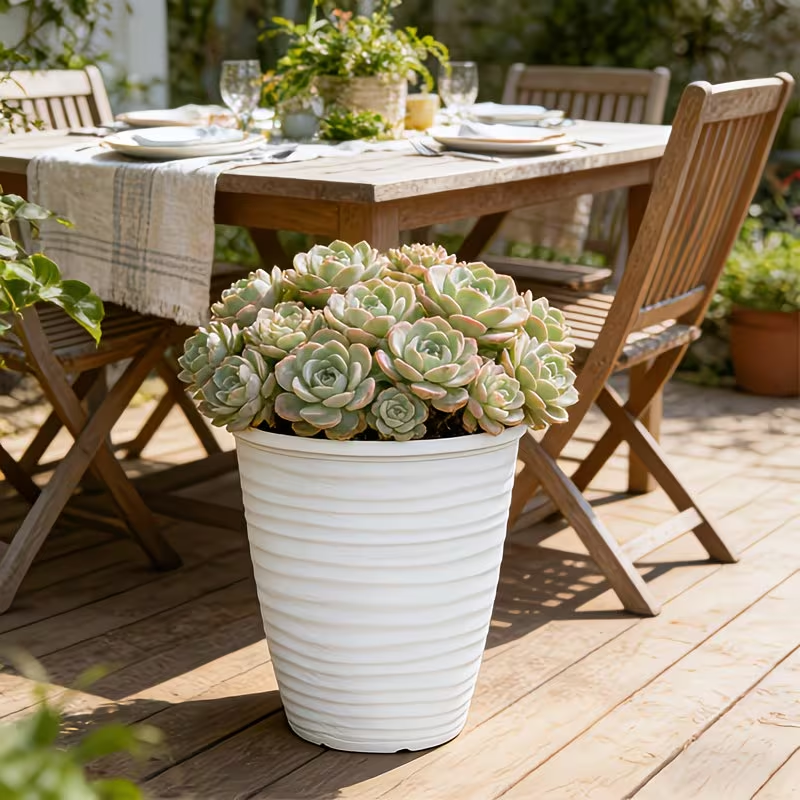Solum Vitae 12-in 28# Fon Round Textured Modern Planters Succulent Front View for Patio Table,Premium Modern Planters  for Gardening