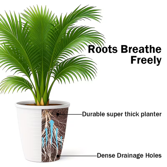 Solum Vitae 12-in 28# Fon Round Textured Modern Planters Roots and Soil for Full Scene,Premium Modern Planters  for Gardening