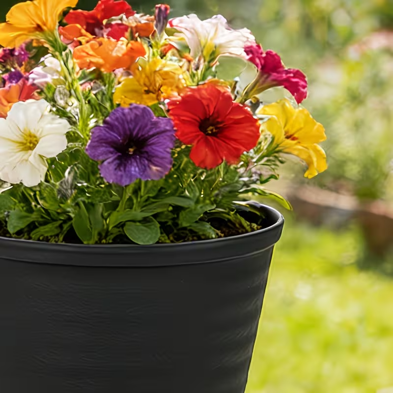 Solum Vitae 12-in 28# Fon Round Textured Modern Planters Close-up Texture Detail  for Garden Sanctuary,Premium Modern Planters  for Gardening