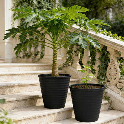 Solum Vitae 12-in 28# Fon Round Textured Modern Planters Growth Shots for Stair,Premium Modern Planters  for Gardening