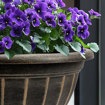 Solum Vitae 12-in 30# Fon Round Textured Pots for Plants Textural Close-Ups for Garden Sanctuary,Premium Plant Pots for Gardening