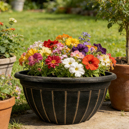 Solum Vitae 12-in 30# Fon Round Textured Pots for Plants Growth Shots for Outdoor Garden,Premium Plant Pots for Gardening