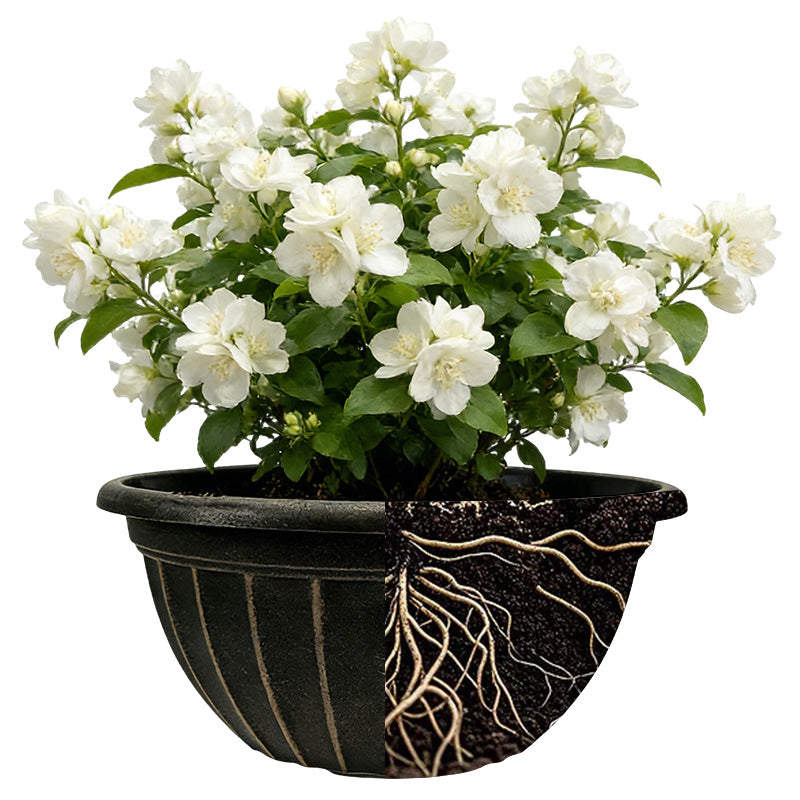 Solum Vitae 12-in 30# Fon Round Textured Pots for Plants Roots and Soil for Empty Pot,Premium Plant Pots for Gardening