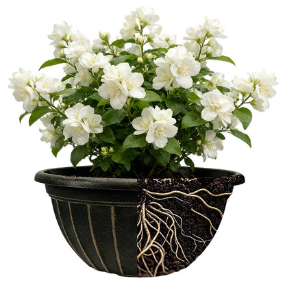 Solum Vitae 12-in 30# Fon Round Textured Pots for Plants Roots and Soil for Empty Pot,Premium Plant Pots for Gardening