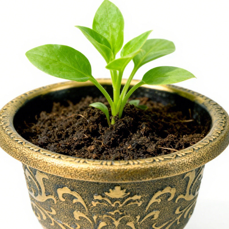Solum Vitae 12-in 30# Terra-F Round Textured Planters Outdoor Petunia Seedlings Top-down Shot for Garden Sanctuary,Premium Outdoor Planters for Gardening
