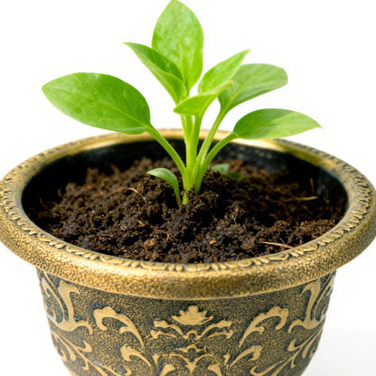 Solum Vitae 12-in 30# Terra-F Round Textured Planters Outdoor Petunia Seedlings Top-down Shot for Garden Sanctuary,Premium Outdoor Planters for Gardening