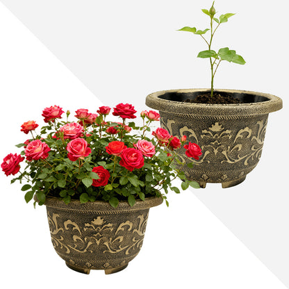 Solum Vitae 12-in 30# Terra-F Round Textured Planters Outdoor Camellia Growth Shots for Backyard Garden,Premium Outdoor Planters for Gardening