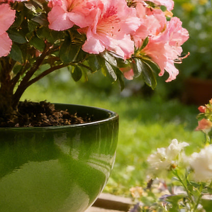 Solum Vitae 13-in 33# Lux Round Textured Indoor Planters Camellia Close-up Texture Detail for Backyard Garden,Premium Indoor Planters for Gardening