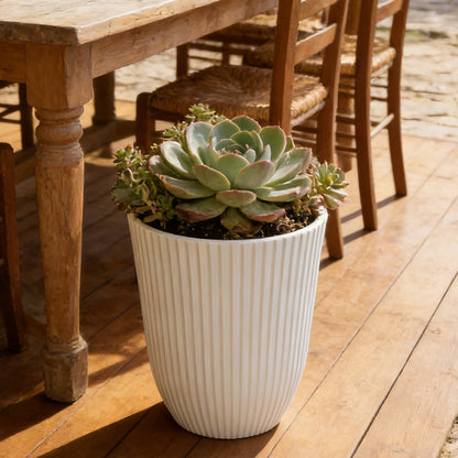 Solum Vitae 14-in 29# Fon Round White Textured Tall Planters Succulent Front View for Patio Table,Premium Tall Planters for Gardening