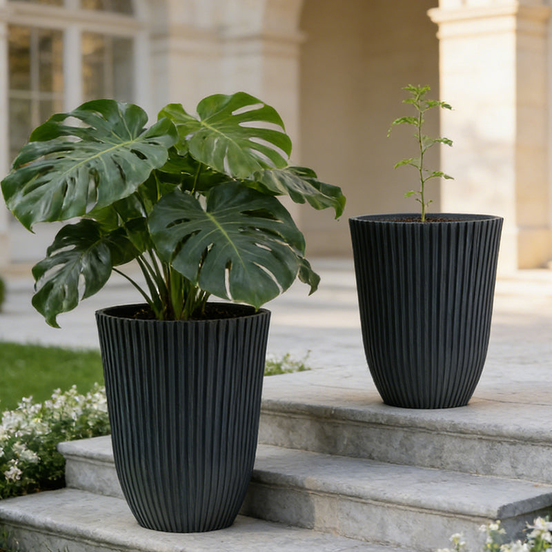 Solum Vitae 14-in 29# Fon Round Black Textured Tall Planters Swiss Cheese Plant Growth Shots for Courtyard Stair,Premium Tall Planters for Gardening