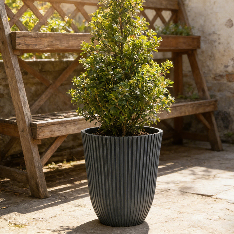 Solum Vitae 14-in 29# Fon Round Black Textured Tall Planters Boxwood Top-down Shot for Garden Sanctuary,Premium Tall Planters for Gardening