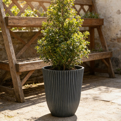 Solum Vitae 14-in 29# Fon Round Black Textured Tall Planters Boxwood Top-down Shot for Garden Sanctuary,Premium Tall Planters for Gardening