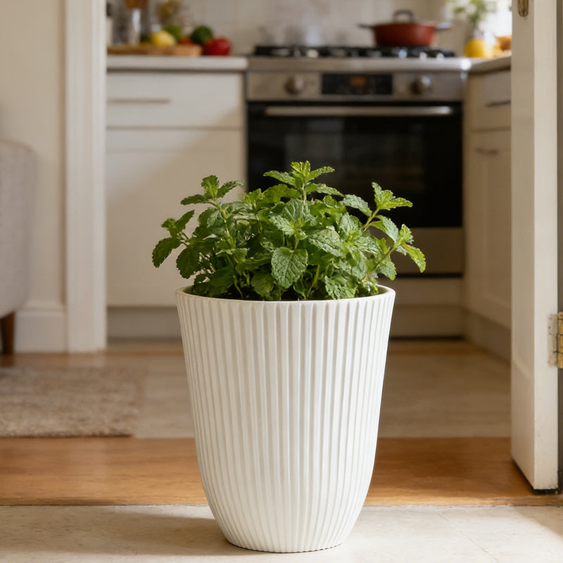 Solum Vitae 14-in 29# Fon Round White Textured Tall Planters Mint Side Profile for Kitchen Herb Garden,Premium Tall Planters for Gardening
