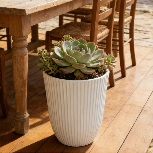 Solum Vitae 14-in 29# Fon Round White Textured Tall Planters Succulent Front View for Patio Table,Premium Tall Planters for Gardening