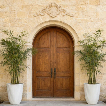 Solum Vitae 14-in 29# Fon Round White Textured Tall Planters Madagascar Palm Full Set Display for Entryway Welcom,Premium Tall Planters for Gardening