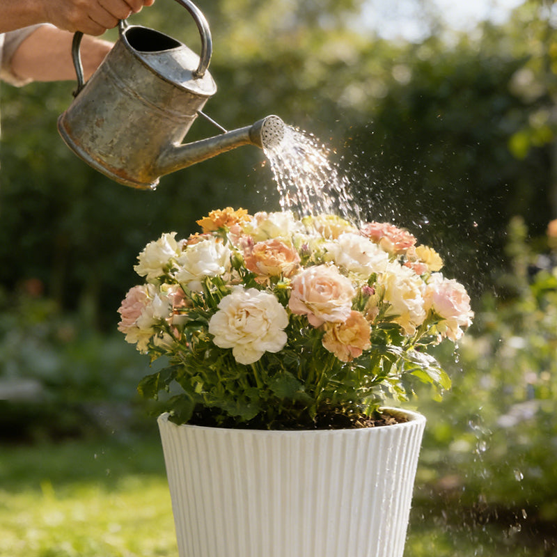 Solum Vitae 14-in 29# Fon Round White Textured Tall Planters Knock Out Rose Act of Watering for Backyard Garden,Premium Tall Planters for Gardening