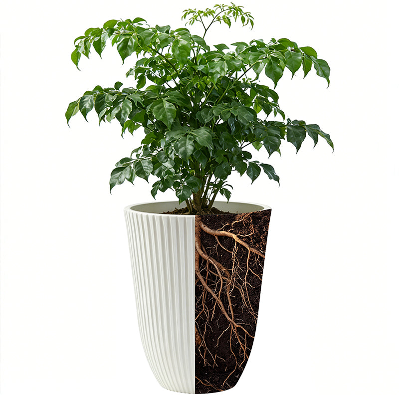 Solum Vitae 14-in 29# Fon Round Textured Tall Planters Pepi Tree Roots and Soil for Full Scene,White Premium Tall Planters for Gardening