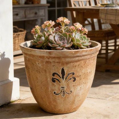 Solum Vitae 15-in 38# Fon Round Textured Plant Pots Succulent Close-up Texture Detail for Patio Table,Premium Plant Pots for Gardening