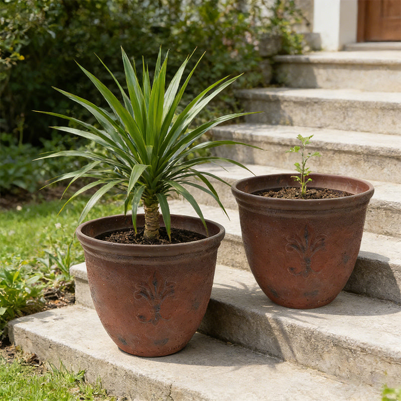 Solum Vitae 15-in 38# Fon Round Textured Plant Pots Dracaena Growth Shots for Courtyard Stair,Premium Plant Pots for Gardening