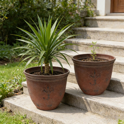 Solum Vitae 15-in 38# Fon Round Textured Plant Pots Dracaena Growth Shots for Courtyard Stair,Premium Plant Pots for Gardening