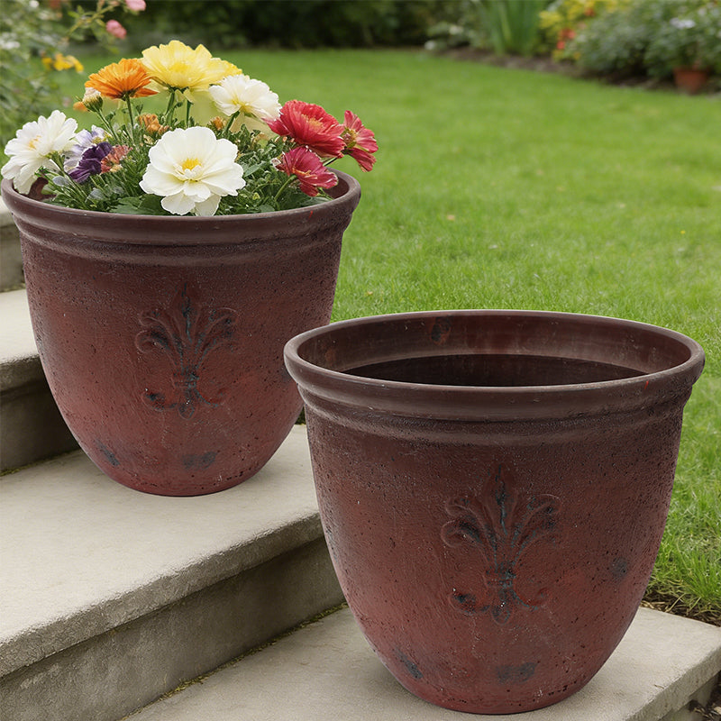 Solum Vitae 15-in 38# Fon Round Textured Plant Pots Echinacea Close-up Texture Detail for Garden Sanctuary,Premium Plant Pots for Gardening