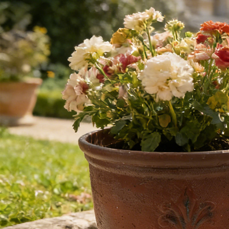 Solum Vitae 15-in 38# Fon Round Textured Plant Pots Coreopsis Side Profile for Outdoor Garden,Premium Plant Pots for Gardening
