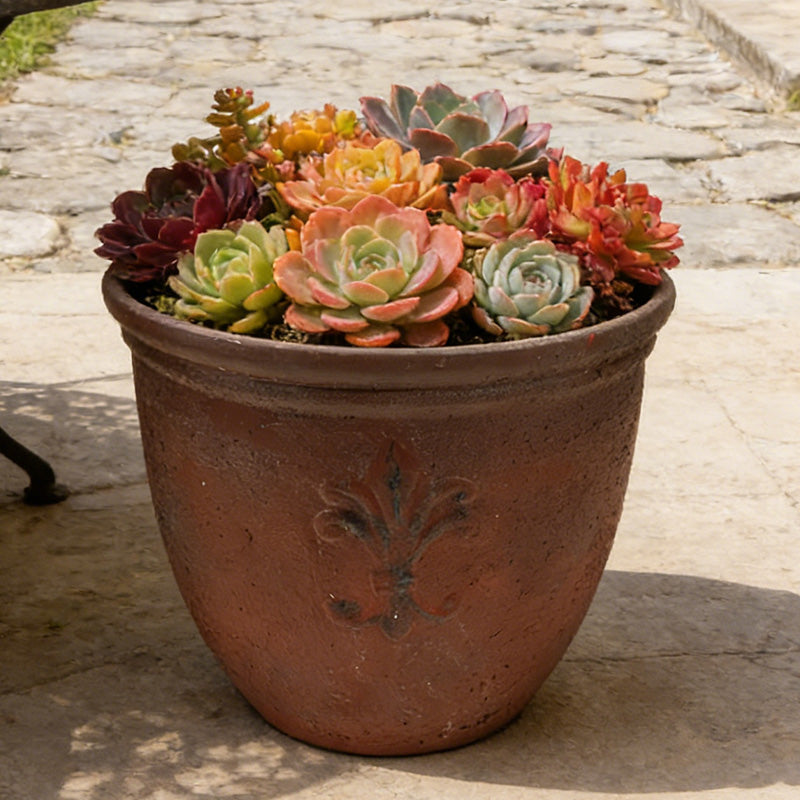 Solum Vitae 15-in 38# Fon Round Textured Plant Pots Succulent Top-down Shot for Patio Table,Premium Plant Pots for Gardening