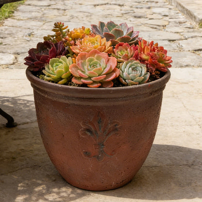 Solum Vitae 15-in 38# Fon Round Textured Plant Pots Succulent Top-down Shot for Patio Table,Premium Plant Pots for Gardening