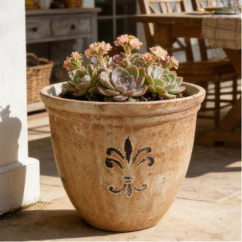 Solum Vitae 15-in 38# Fon Round Textured Plant Pots Succulent Close-up Texture Detail for Patio Table,Premium Plant Pots for Gardening