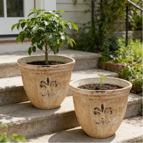 Solum Vitae 15-in 38# Fon Round Textured Plant Pots Radermachera Sinica Growth Shots for Courtyard Stair,Premium Plant Pots for Gardening