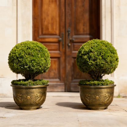 Solum Vitae 16-in 40# Terra-D Round Textured Outdoor Plant Pots Boxwood Ball Full Set Display for Entryway Welcome,Premium Outdoor Planters for Gardening