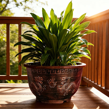 Solum Vitae 16-in 40# Terra-D Round Textured Outdoor Plant Pots Cordyline ArboreaSide Profile for Windowsil,Premium Outdoor Planters for Gardening