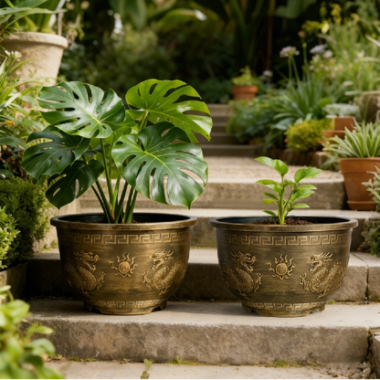 Solum Vitae 16-in 40# Terra-D Round Textured Outdoor Plant Pots Split-Leaf Philodendron Growth Shots for Courtyard Stair,Premium Outdoor Planters for Gardening