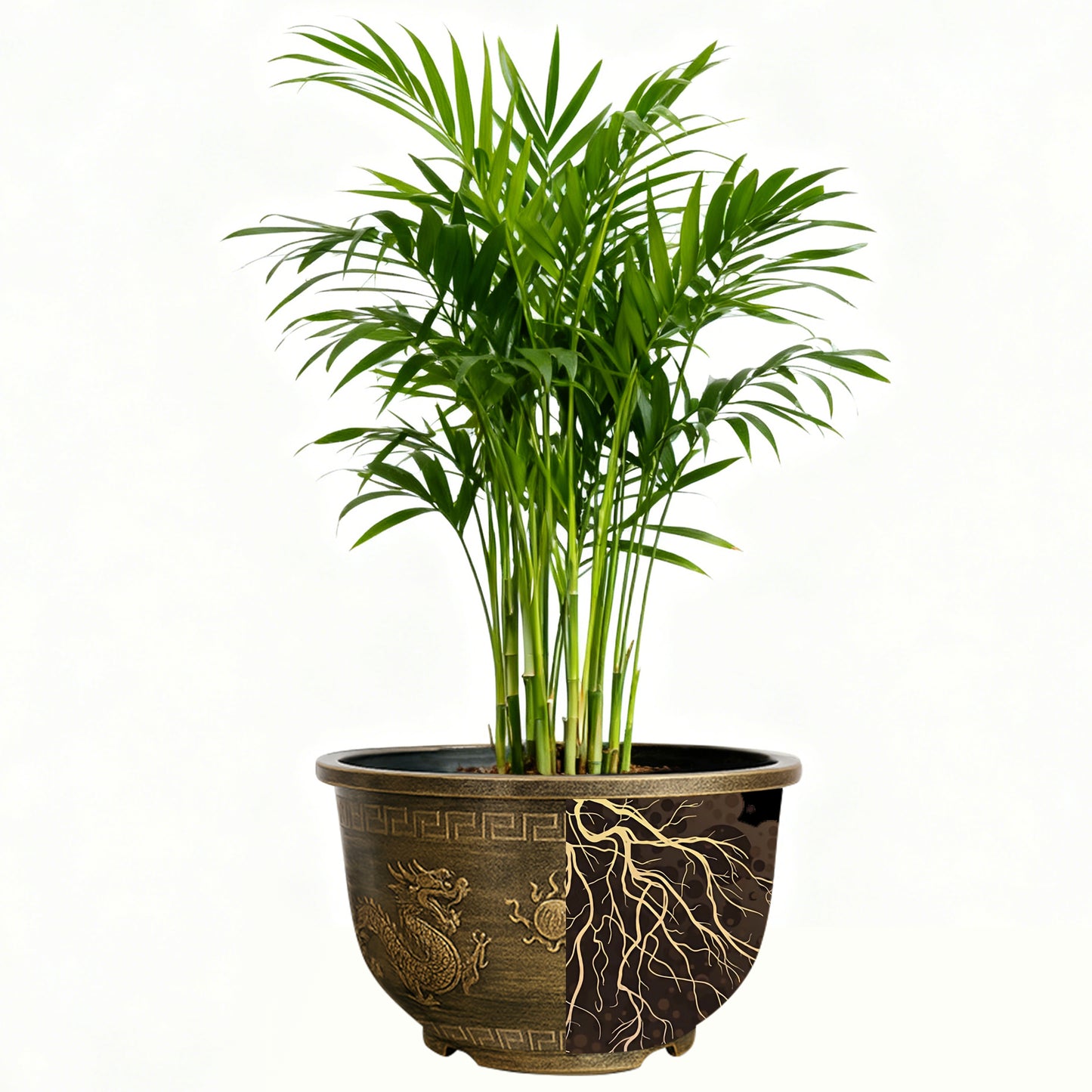 Solum Vitae 16-in 40# Terra-D Round Textured Outdoor Plant Pots Areca Palm Roots and Soil for Courtyard,Premium Outdoor Planters for Gardening