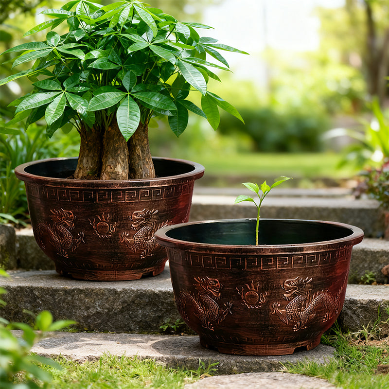 Solum Vitae 16-in 40# Terra-D Round Textured Outdoor Plant Pots Pachira Macrocarpa Growth Shots for Courtyard Stair,Premium Outdoor Planters for Gardening