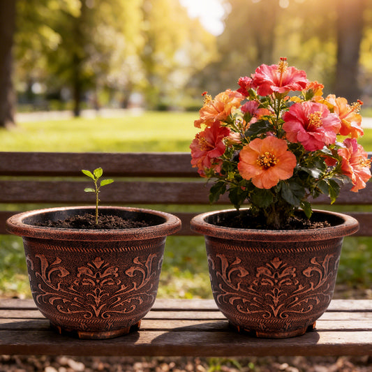 Solum Vitae 16-in 40# Terra-F Round Textured Outdoor Pots Gaillardia Full Set Display for Outdoor Bench,Premium Outdoor Planters for Gardening