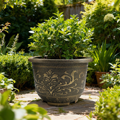 Solum Vitae 16-in 40# Terra-F Round Textured Outdoor Pots Boxwood Top-down Shot for Courtyard,Premium Outdoor Planters for Gardening