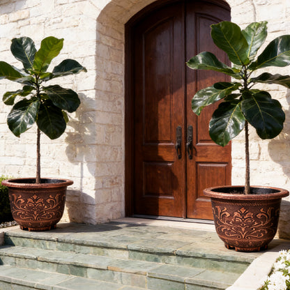 Solum Vitae 16-in 40# Terra-F Round Textured Outdoor Pots Fiddle-Leaf Fig Full Set Display for Entryway Welcome,Premium Outdoor Planters for Gardening