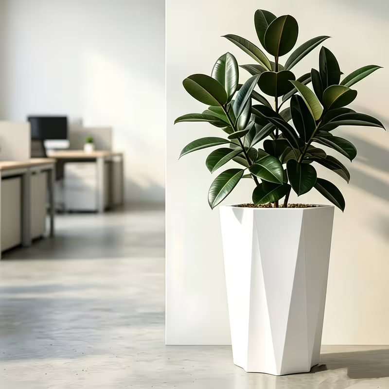 Solum Vitae 16-in 32# Fon Diamond Textured Big Flower Pots Front View for Living Room,Premium Large Planter Pots for Gardening