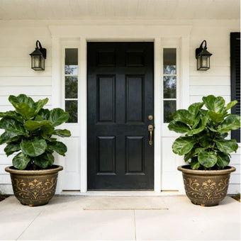 Solum Vitae 17-in 45# Terra-F Round Textured Outdoor Flower Pots Fiddle-Leaf Fig Full Set Display for Entryway Welcome,Premium Outdoor Planters for Gardening