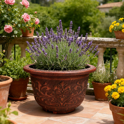 Solum Vitae 17-in 45# Terra-F Round Textured Outdoor Flower Pots Lavender Clean Shots for Courtyard,Premium Outdoor Planters for Gardening