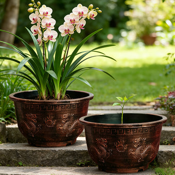 Solum Vitae 17-in 45# Terra-D Round Textured Patio Planters Phalaenopsis Full Set Display for Courtyard Stair,Premium Outdoor Planters for Gardening