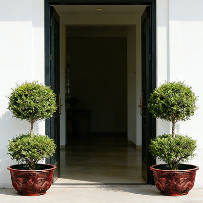 Solum Vitae 17-in 45# Terra-D Round Textured Patio Planters Murraya paniculata Full Set Display for Entryway Welcome,Premium Outdoor Planters for Gardening