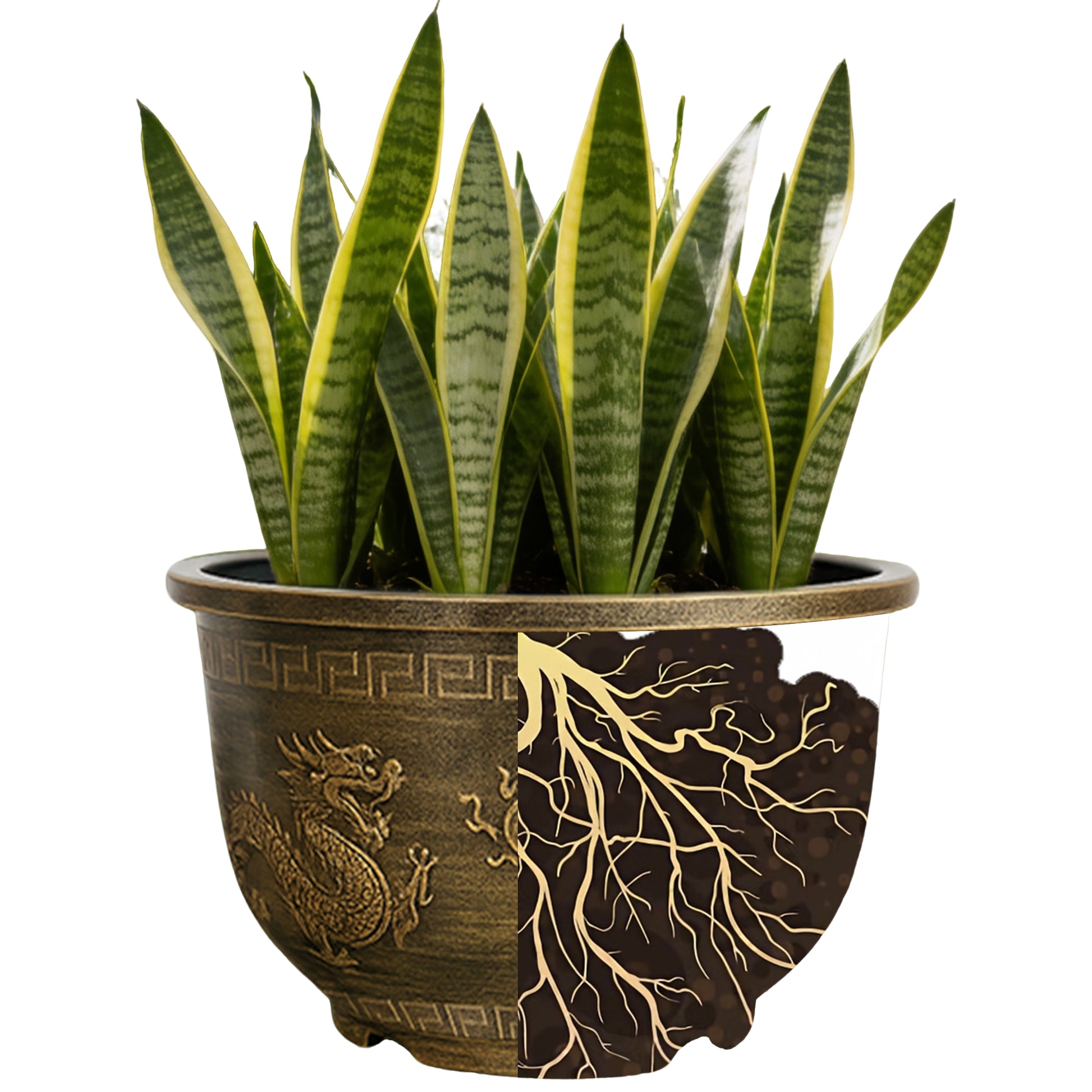 Solum Vitae 17-in 45# Terra-D Round Textured Patio Planters Snake Plant Roots and Soil for Clean Shots,Premium Outdoor Planters for Gardening